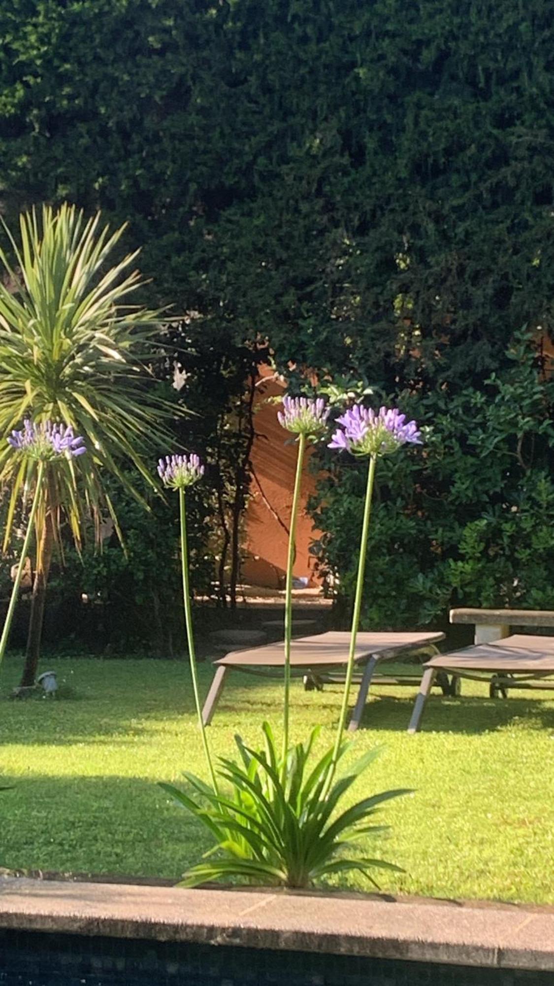 La Demeure Bed & Breakfast Eyguieres Bagian luar foto